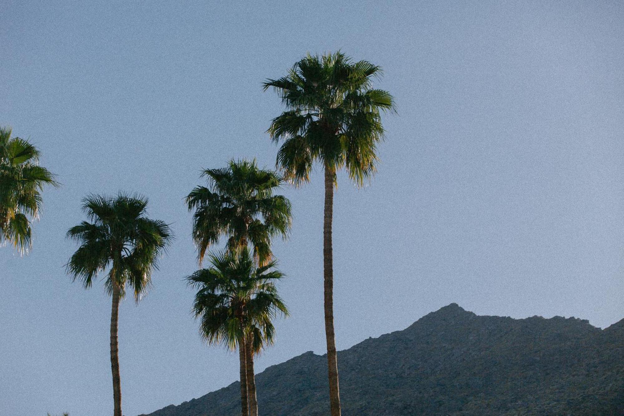 Yara Hotel - Adults Only Palm Springs Exterior photo